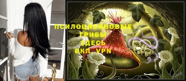 PSILOCYBIN Алзамай