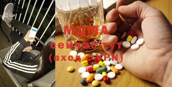 PSILOCYBIN Алзамай