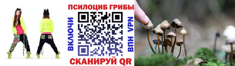 Псилоцибиновые грибы мицелий  Дедовск 